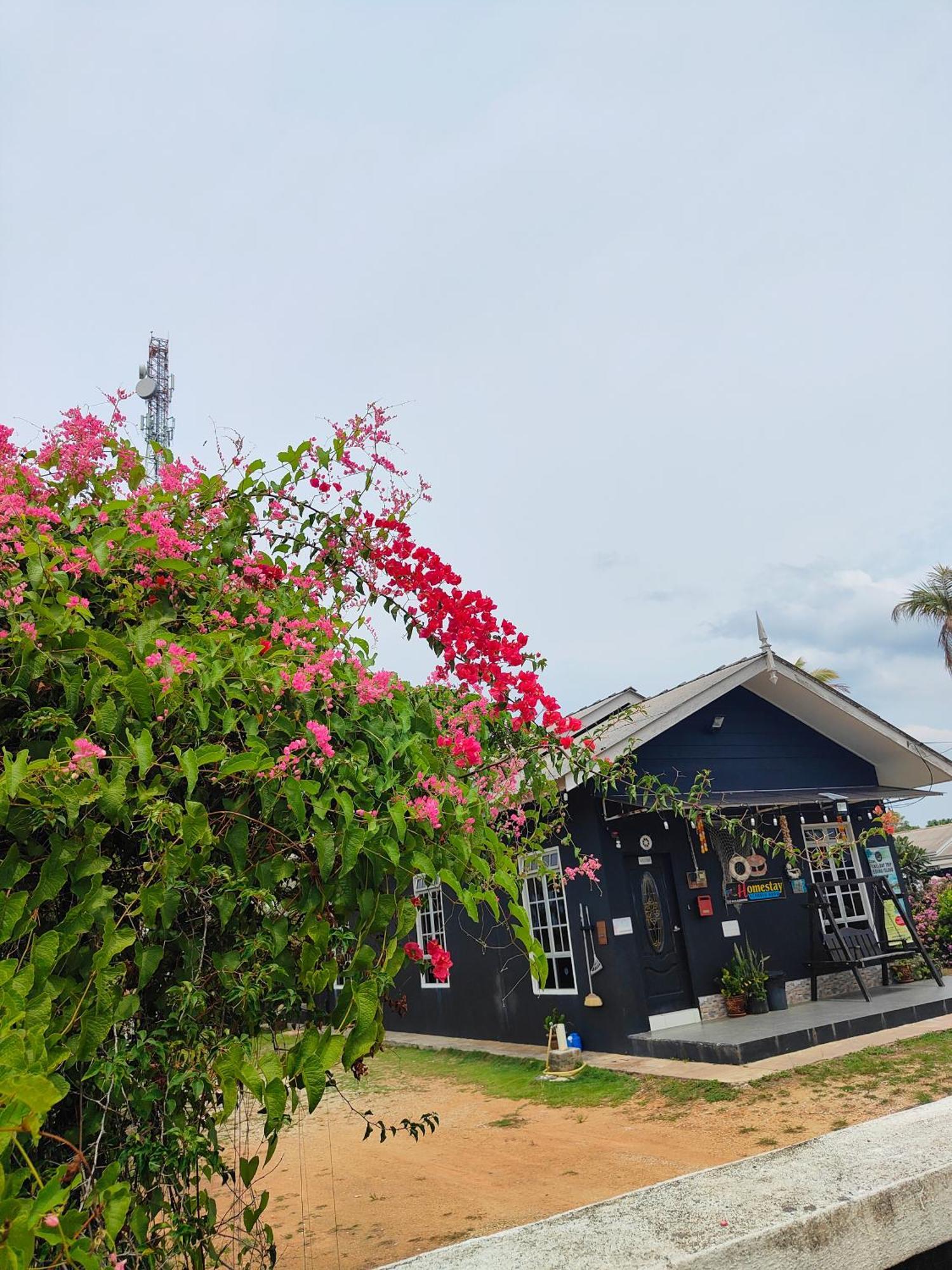 Penarik baru homestay Kampung Penarik Luaran gambar